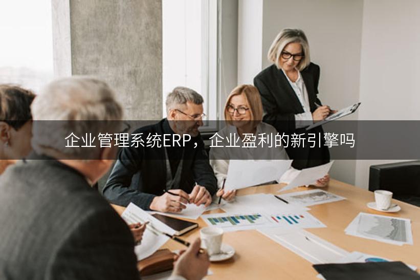 企业管理系统ERP，企业盈利的新引擎吗