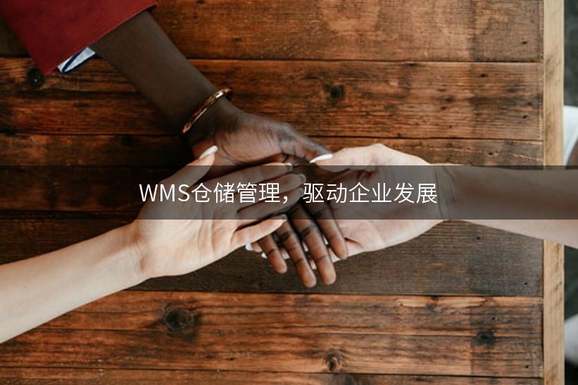 WMS仓储管理，驱动企业发展