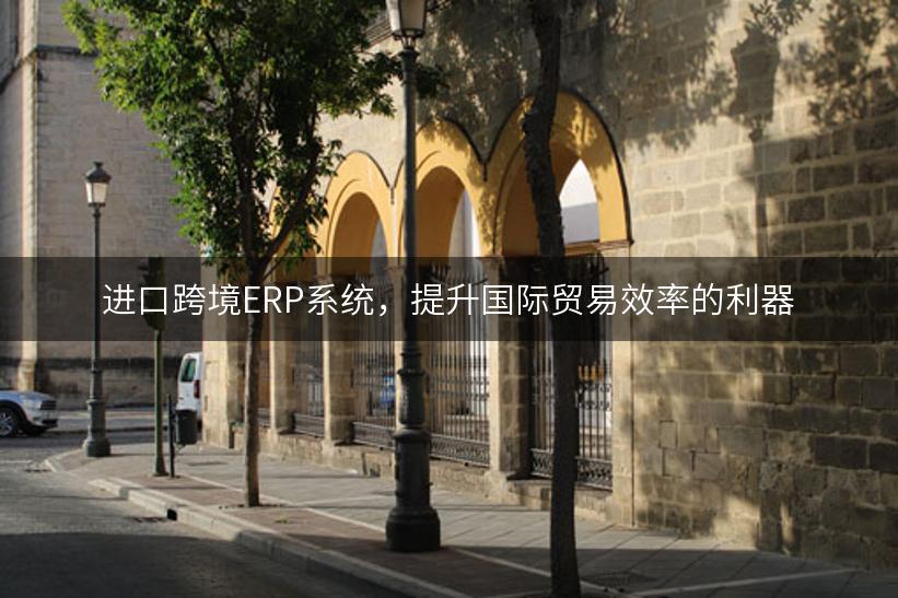 进口跨境ERP系统，提升国际贸易效率的利器