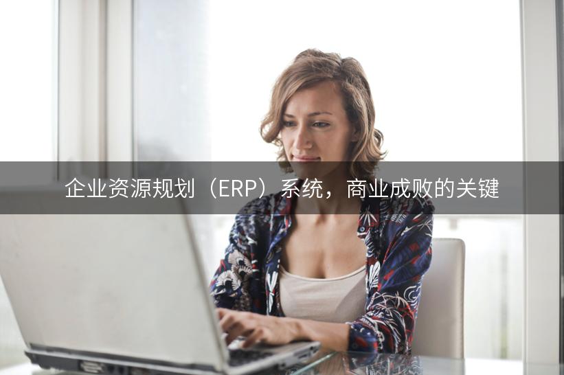 企业资源规划（ERP）系统，商业成败的关键