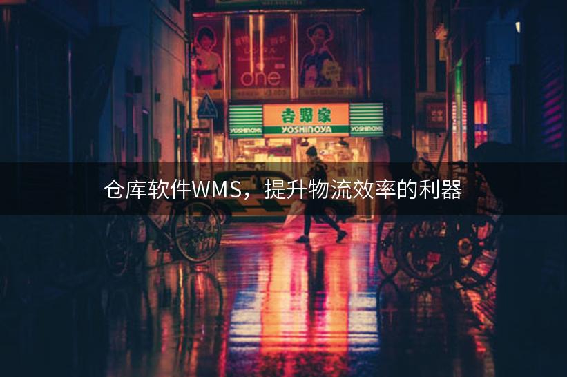 仓库软件WMS，提升物流效率的利器