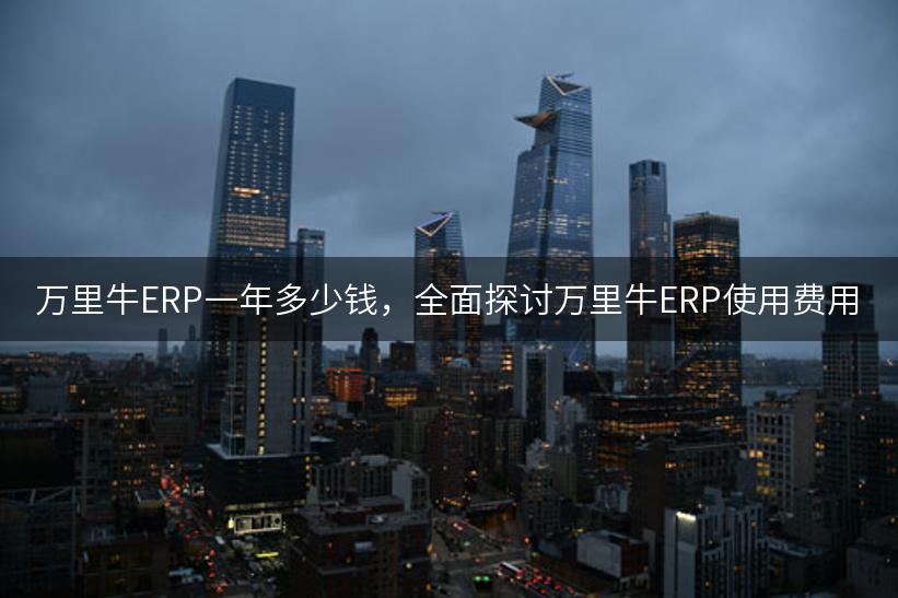 万里牛ERP一年多少钱，全面探讨万里牛ERP使用费用