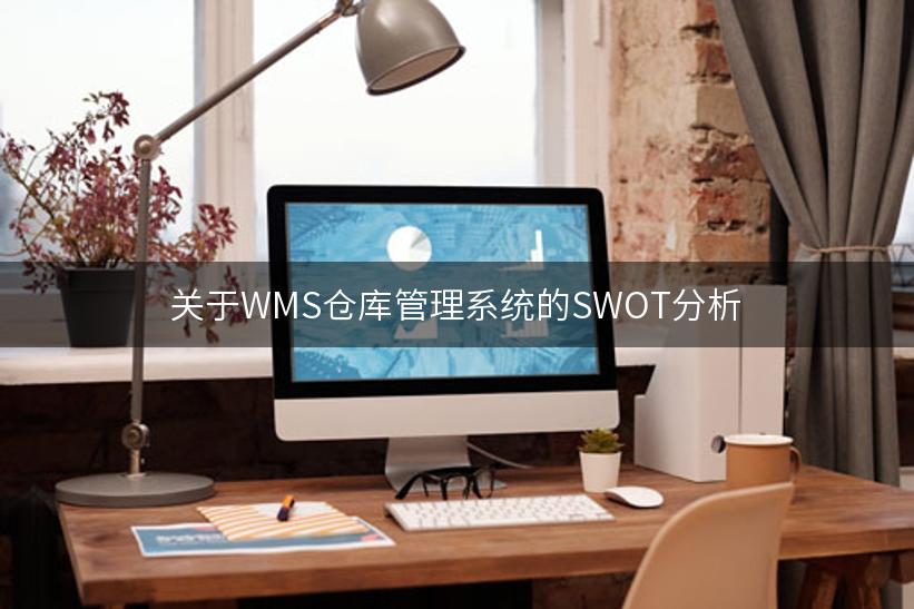 关于WMS仓库管理系统的SWOT分析