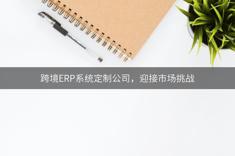 跨境ERP系统定制公司，迎接市场挑战