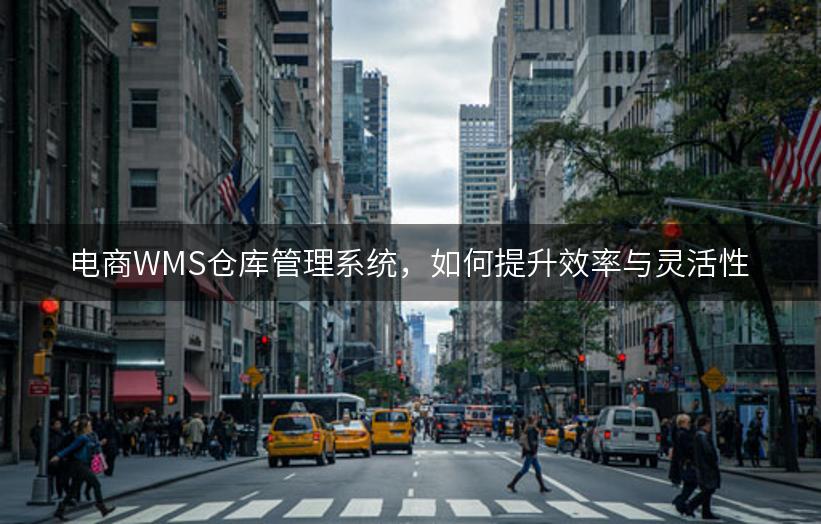 电商WMS仓库管理系统，如何提升效率与灵活性