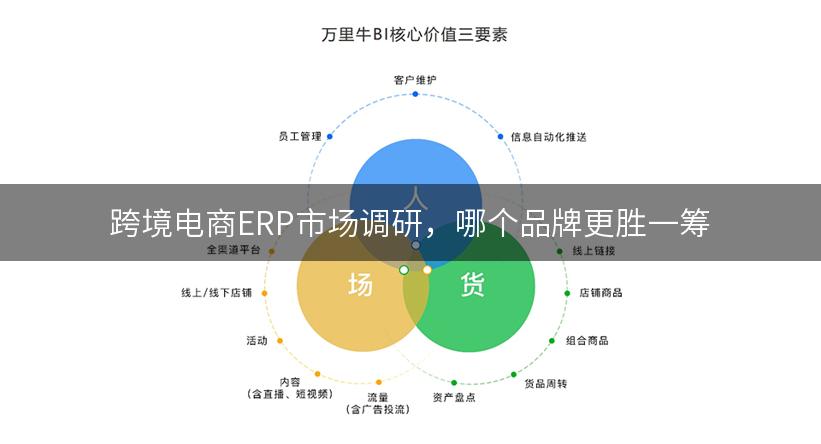 跨境电商ERP市场调研，哪个品牌更胜一筹