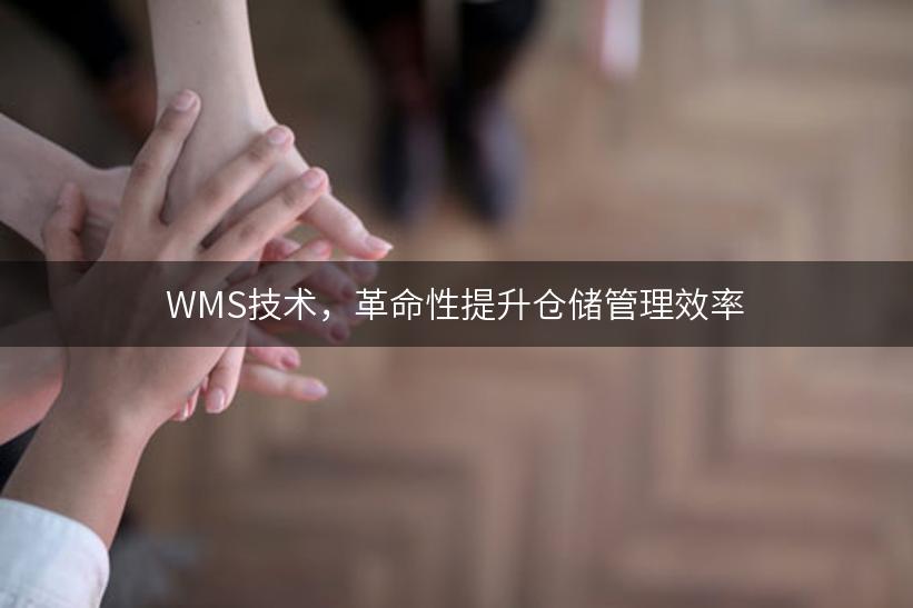 WMS技术，革命性提升仓储管理效率