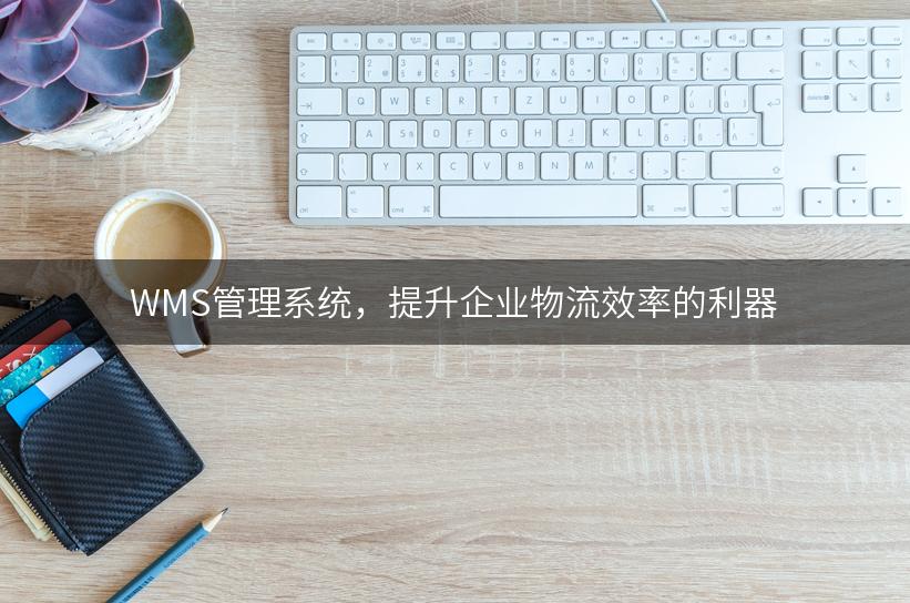 WMS管理系统，提升企业物流效率的利器