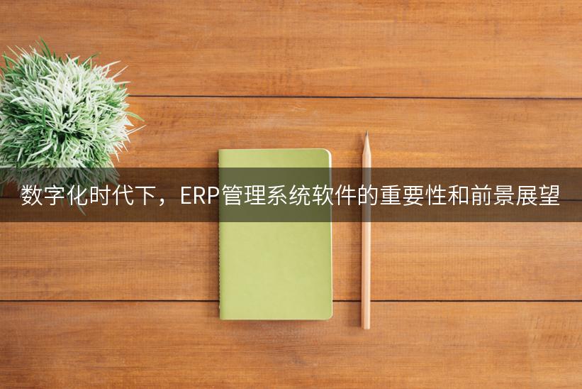 数字化时代下，ERP管理系统软件的重要性和前景展望