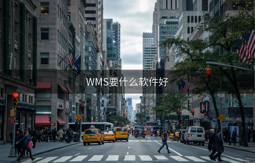 WMS要什么软件好