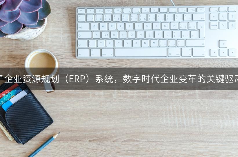 电子企业资源规划（ERP）系统，数字时代企业变革的关键驱动力