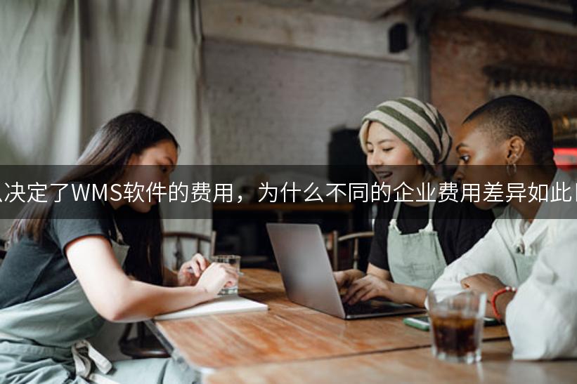 什么决定了WMS软件的费用，为什么不同的企业费用差异如此巨大