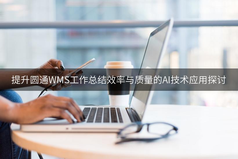 提升圆通WMS工作总结效率与质量的AI技术应用探讨