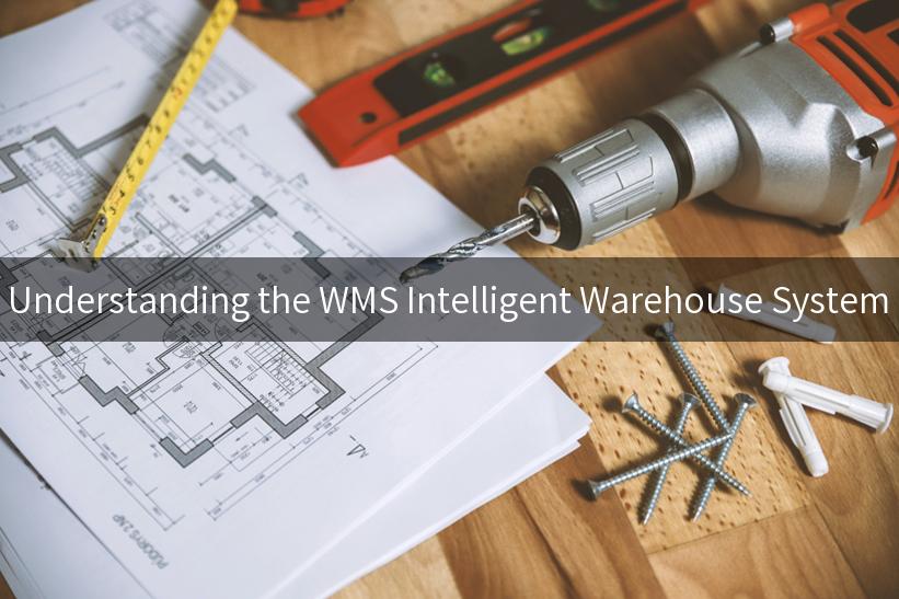 Understanding the WMS Intelligent Warehouse System