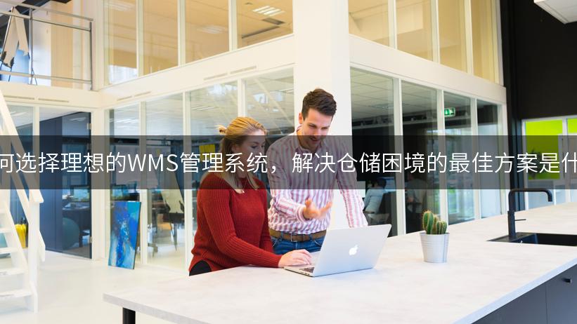 如何选择理想的WMS管理系统，解决仓储困境的最佳方案是什么