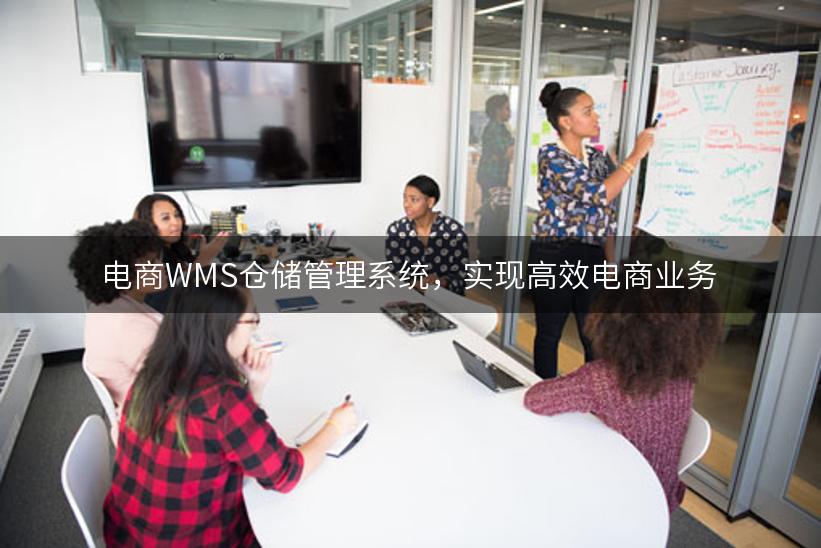 电商WMS仓储管理系统，实现高效电商业务