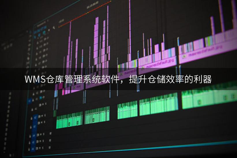 WMS仓库管理系统软件，提升仓储效率的利器