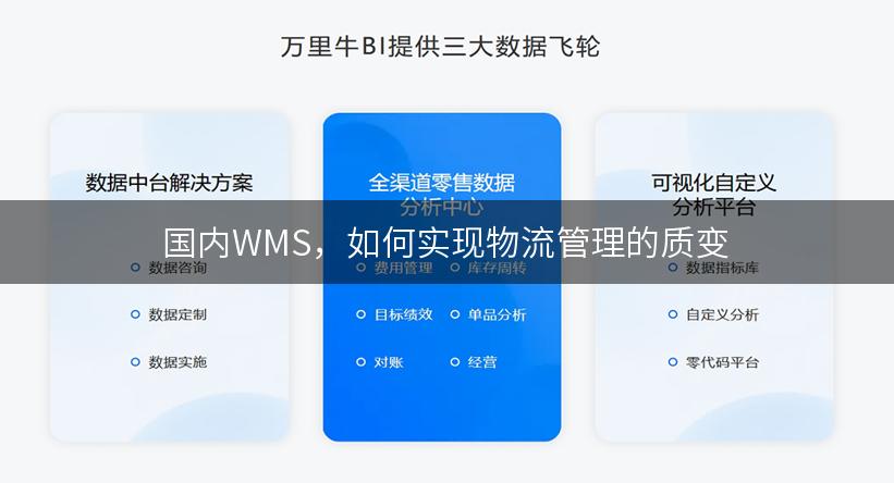 国内WMS，如何实现物流管理的质变