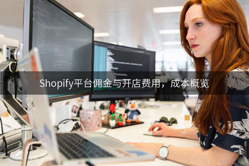 Shopify平台佣金与开店费用，成本概览