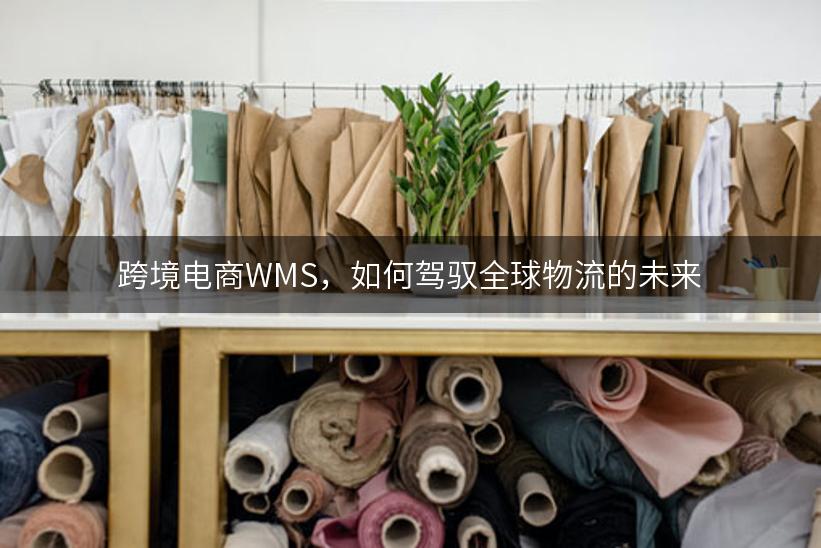 跨境电商WMS，如何驾驭全球物流的未来