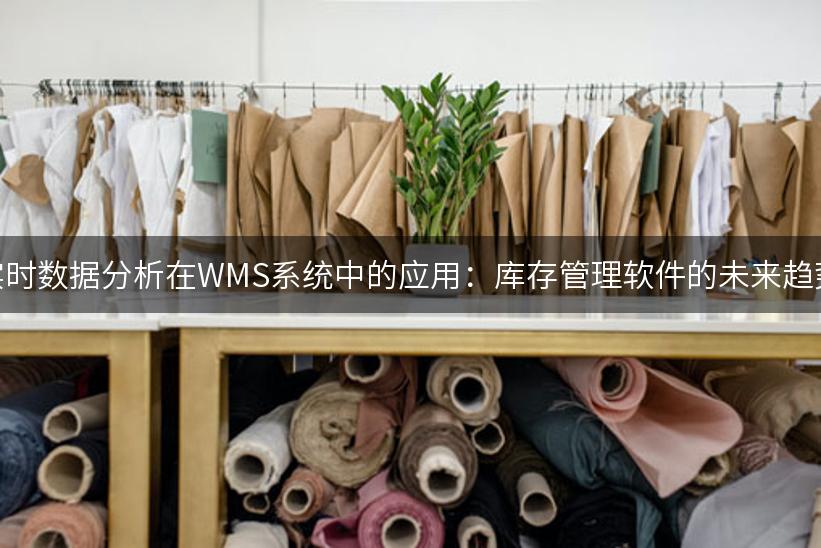 实时数据分析在WMS系统中的应用：库存管理软件的未来趋势