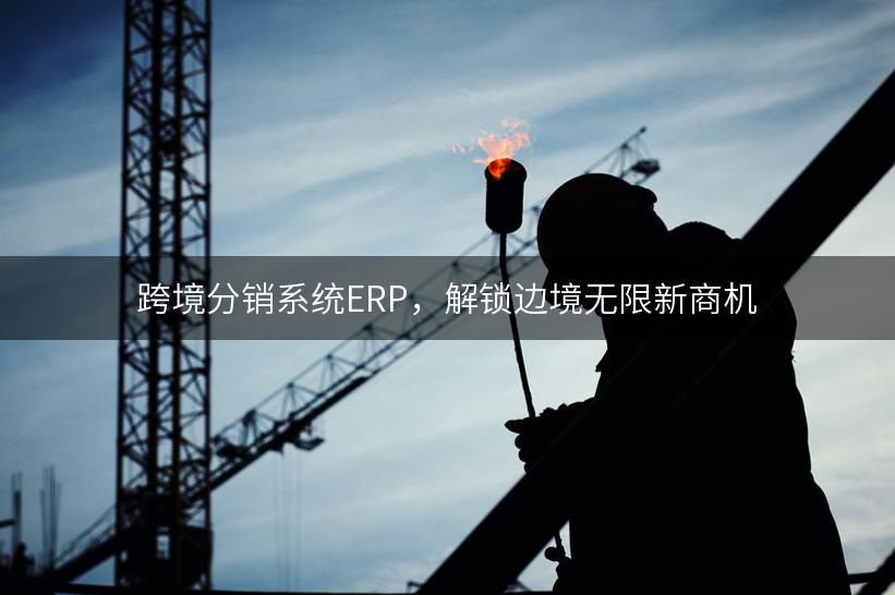 跨境分销系统ERP，解锁边境无限新商机