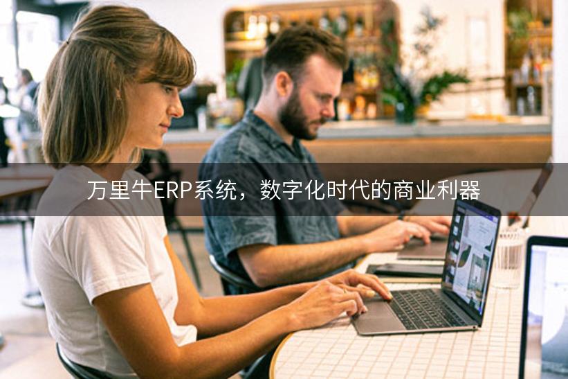 万里牛ERP系统，数字化时代的商业利器