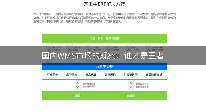 国内WMS市场的观察，谁才是王者