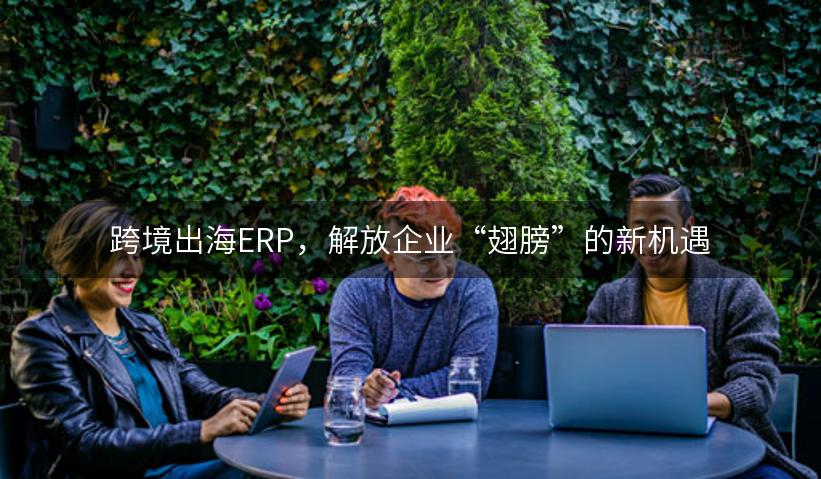 跨境出海ERP，解放企业“翅膀”的新机遇