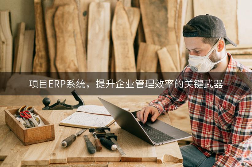 项目ERP系统，提升企业管理效率的关键武器