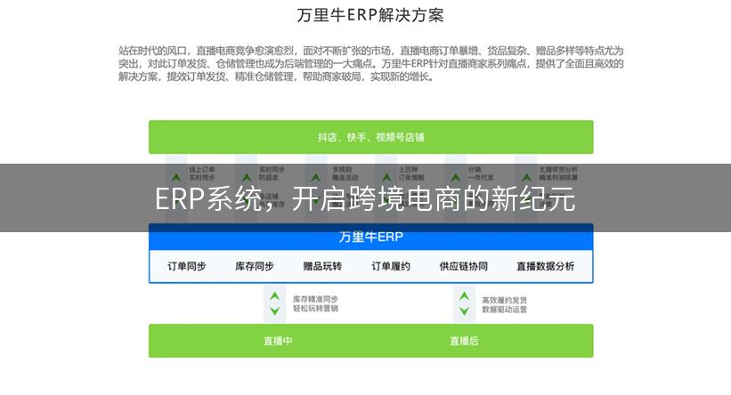 ERP系统，开启跨境电商的新纪元