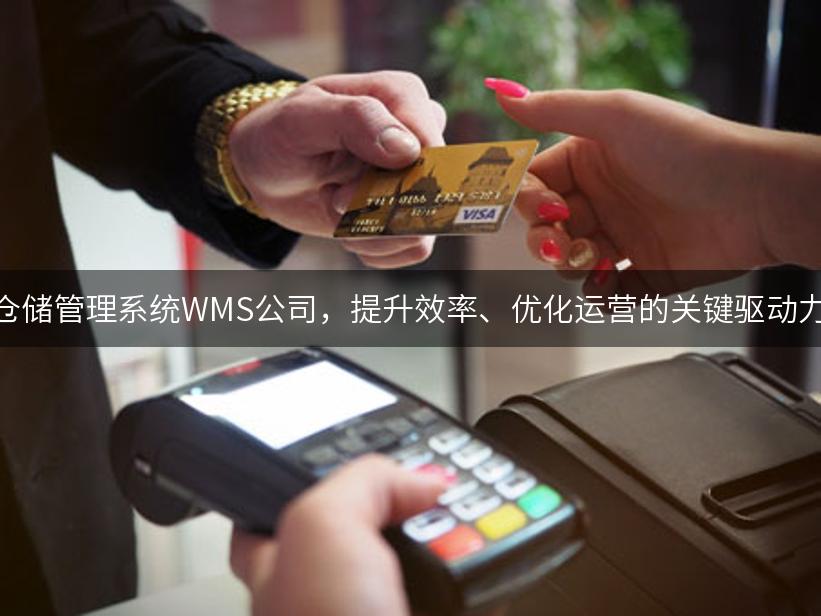 仓储管理系统WMS公司，提升效率、优化运营的关键驱动力