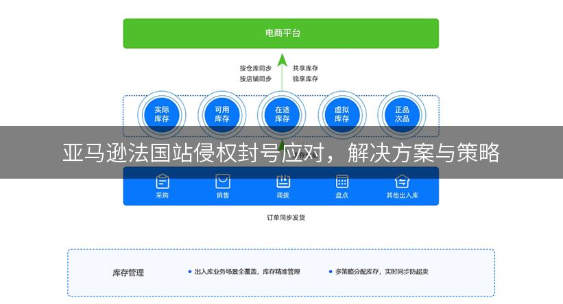 亚马逊法国站侵权封号应对，解决方案与策略