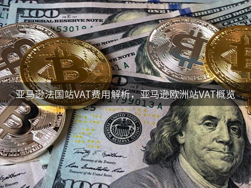 亚马逊法国站VAT费用解析，亚马逊欧洲站VAT概览