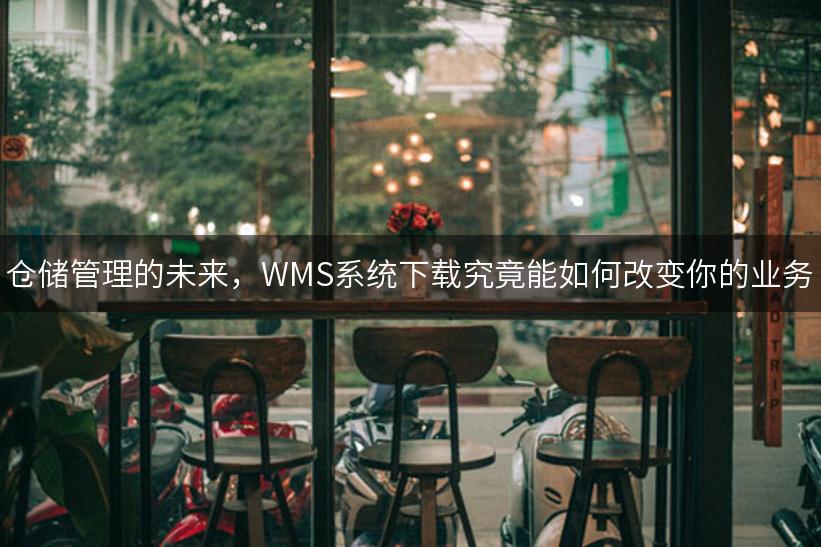 仓储管理的未来，WMS系统下载究竟能如何改变你的业务