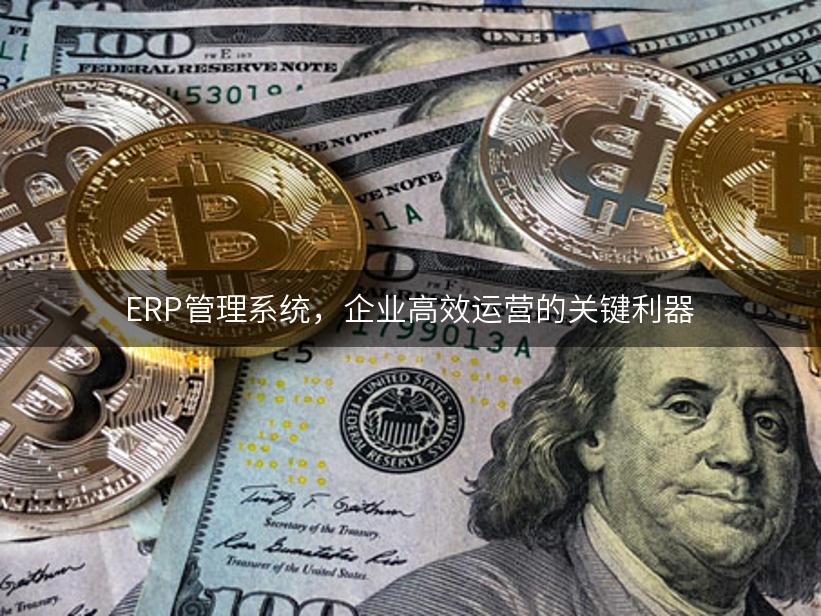 ERP管理系统，企业高效运营的关键利器