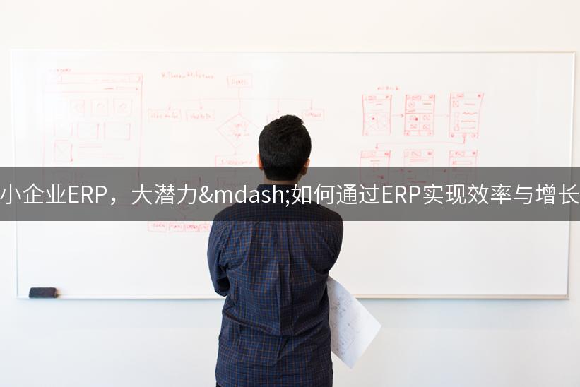 小企业ERP，大潜力—如何通过ERP实现效率与增长