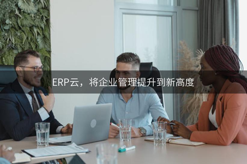 ERP云，将企业管理提升到新高度