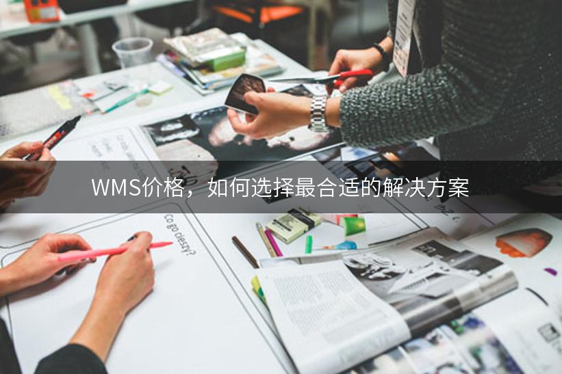 WMS价格，如何选择最合适的解决方案