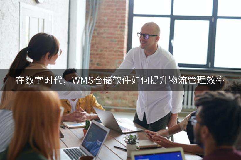 在数字时代，WMS仓储软件如何提升物流管理效率