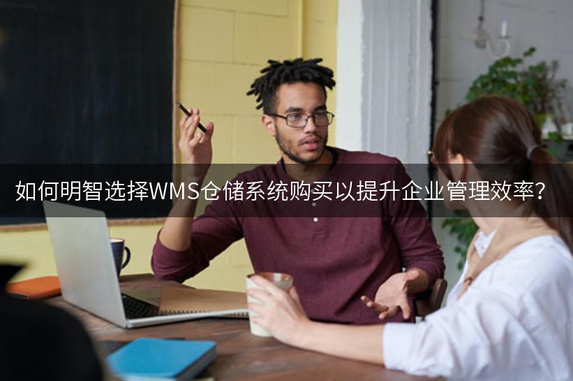 如何明智选择WMS仓储系统购买以提升企业管理效率？