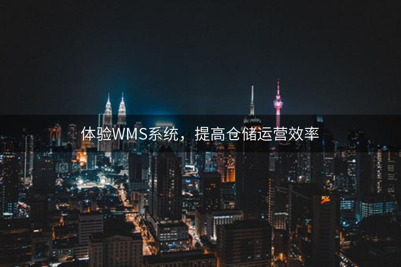 体验WMS系统，提高仓储运营效率